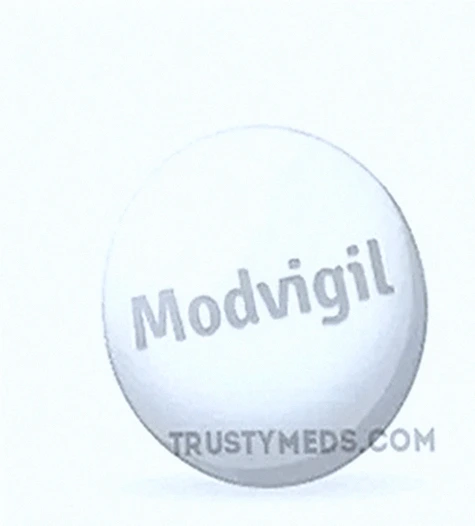 Modvigil